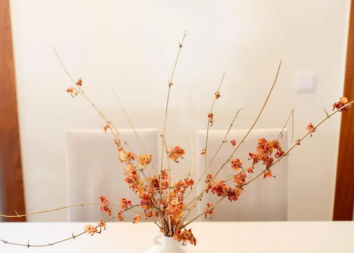 Madeira Precious Family * Funchal (Madeira)